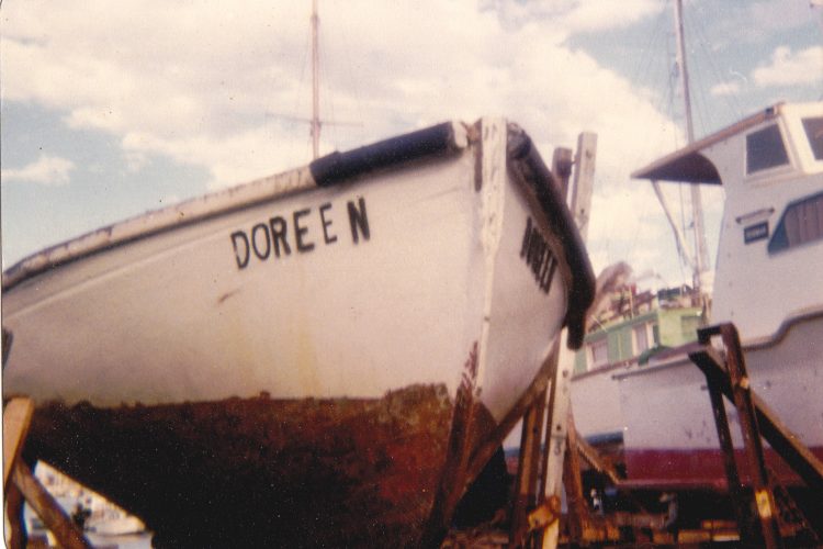 Surprise-C14-Doreen